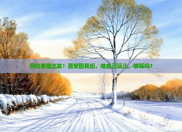 阿拉善盟去西安回民街自由团