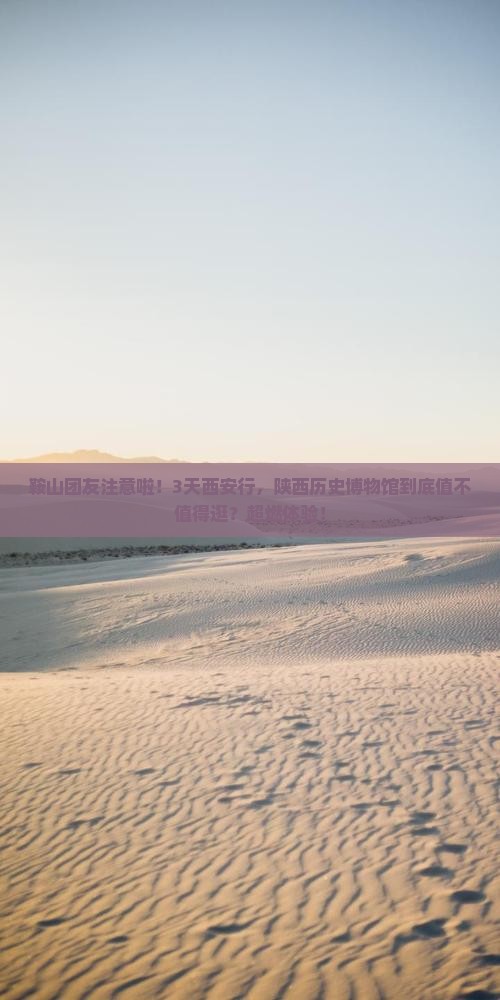 鞍山去西安陕西历史博物馆团体旅游