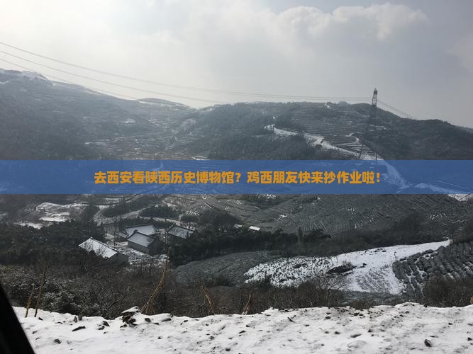 鸡西去西安陕西历史博物馆攻略