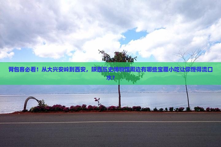 大兴安岭到西安陕西历史博物馆旅游小吃