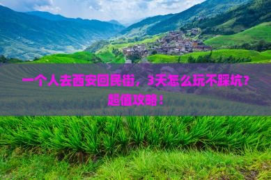 一月到西安回民街个人游