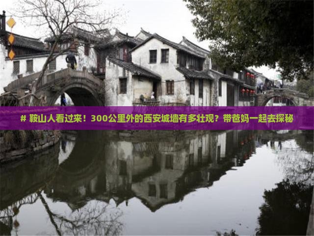鞍山到西安城墙大型旅游团