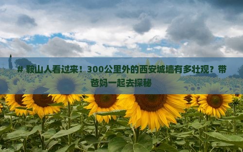鞍山到西安城墙大型旅游团