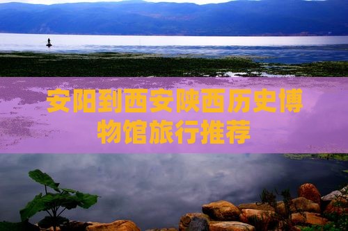 安阳到西安陕西历史博物馆旅行社