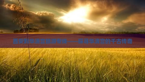 咸阳到西安华清宫旅行社