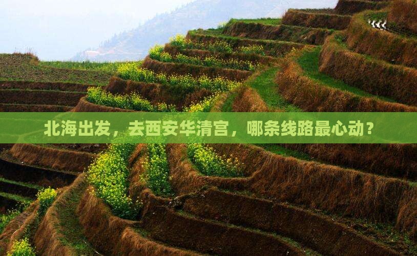 北海去西安华清宫旅行社