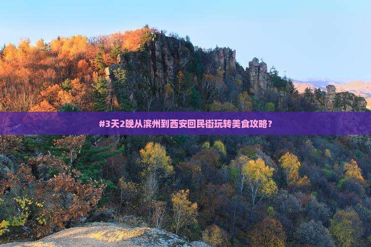 滨州去西安回民街七日游