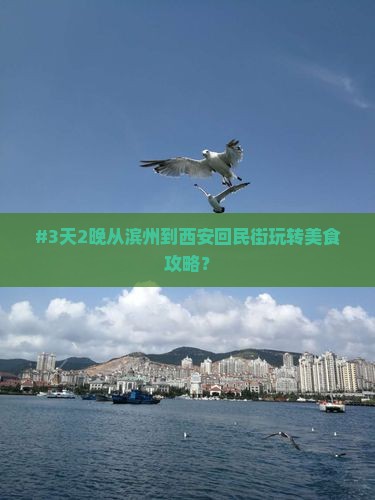 滨州去西安回民街七日游