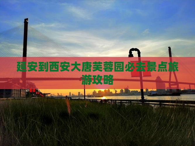 延安到西安大唐芙蓉园必去地