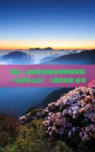 商丘去西安秦始皇帝陵博物院一日游