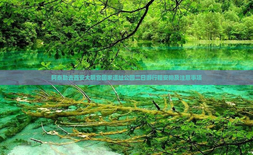 阿泰勒去西安大明宫国家遗址公园二日游