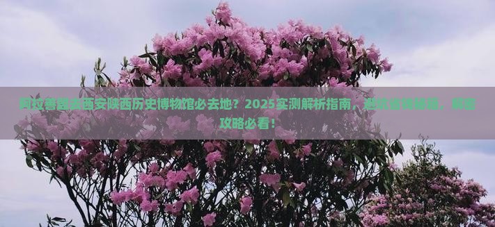 阿拉善盟去西安陕西历史博物馆必去地