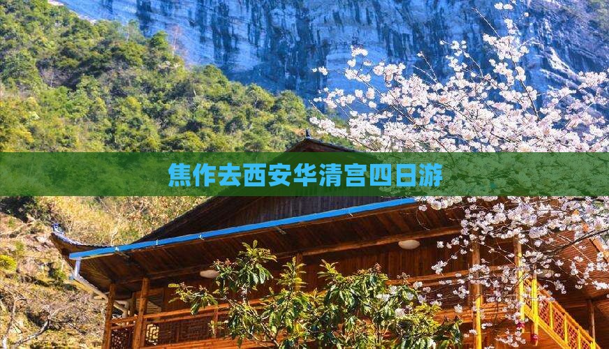 焦作去西安华清宫四日游