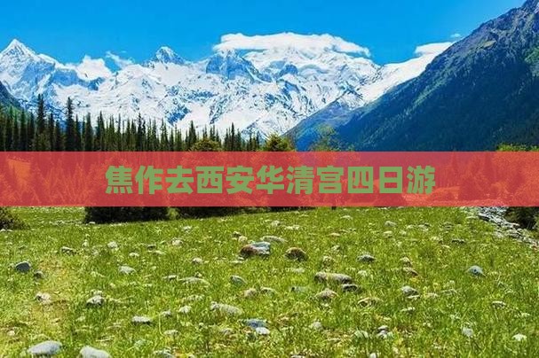焦作去西安华清宫四日游