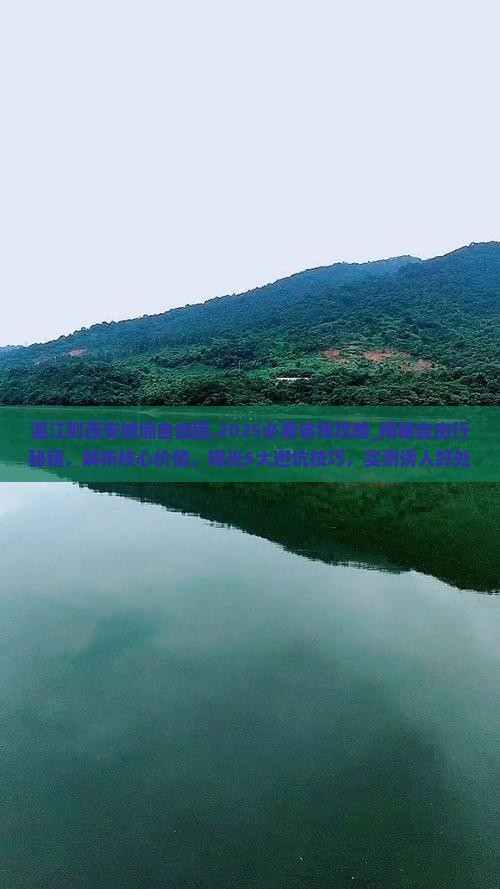 湛江到西安城墙自由团