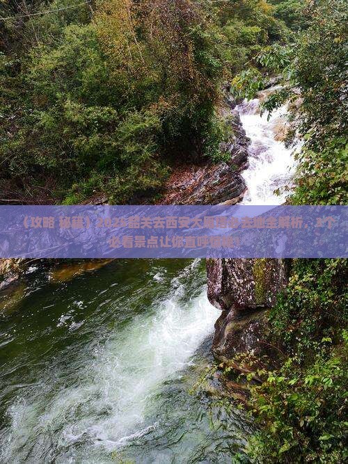 韶关去西安大雁塔必去地