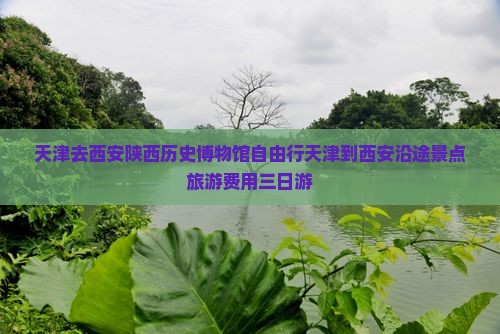 天津去西安陕西历史博物馆自由行
