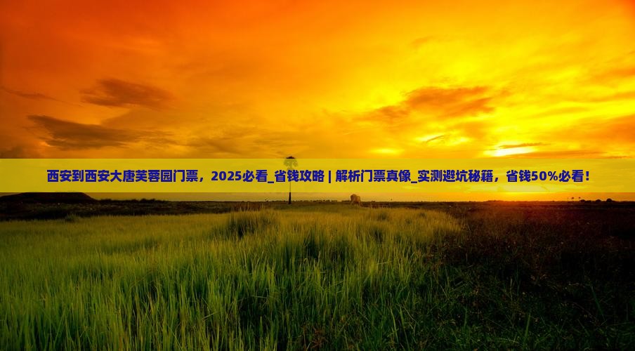 西安到西安大唐芙蓉园门票