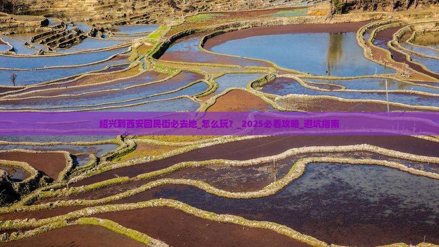 绍兴到西安回民街必去地