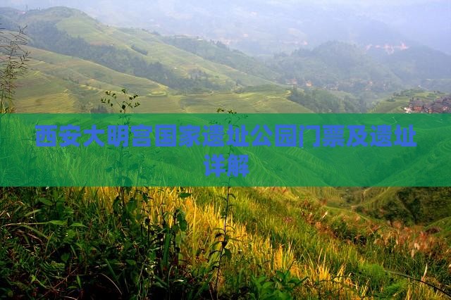 海北去西安大明宫国家遗址公园门票