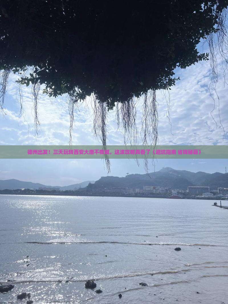 德州到西安大唐不夜城三日游