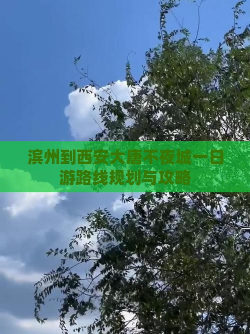 滨州到西安大唐不夜城一日游
