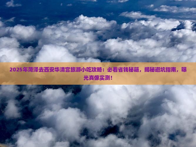 菏泽去西安华清宫旅游小吃