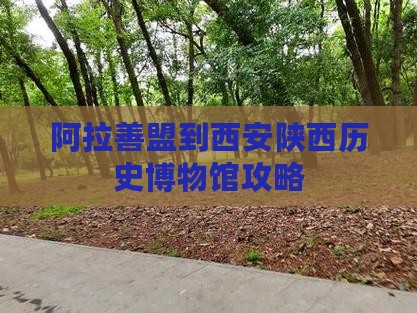 阿拉善盟到西安陕西历史博物馆攻略