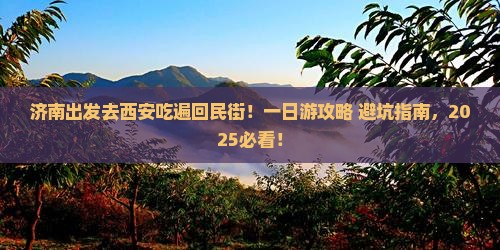 济南到西安回民街一日游