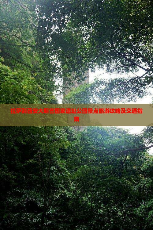拉萨到西安大明宫国家遗址公园景点