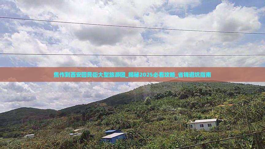 焦作到西安回民街大型旅游团