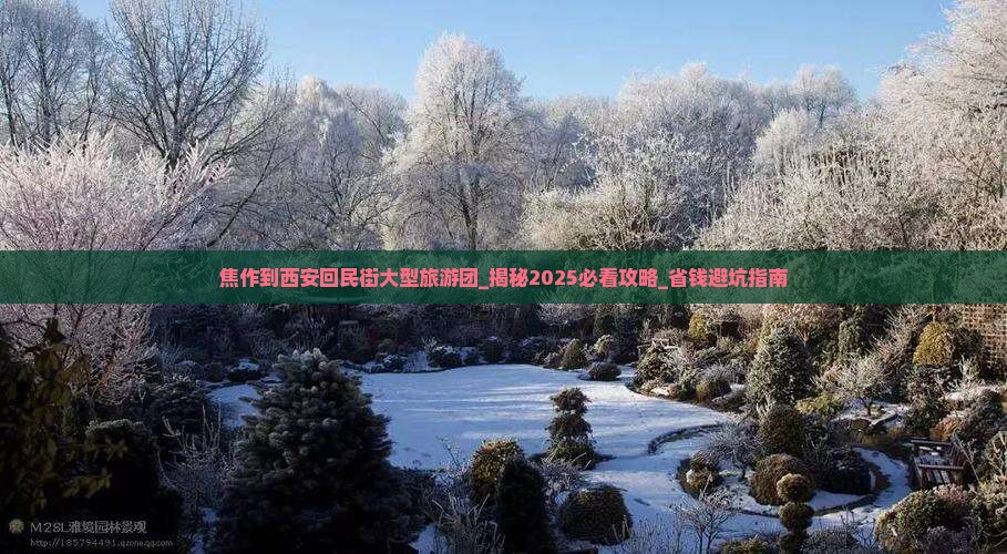焦作到西安回民街大型旅游团
