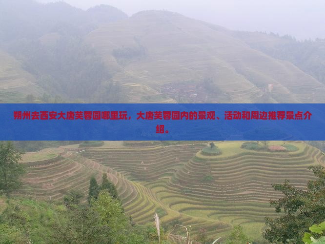 朔州去西安大唐芙蓉园哪里玩