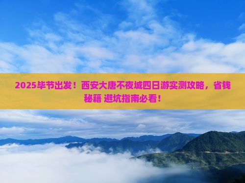 毕节去西安大唐不夜城四日游