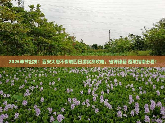 毕节去西安大唐不夜城四日游