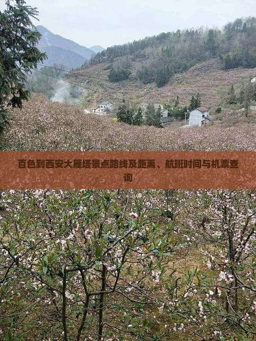 百色到西安大雁塔景点