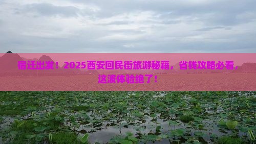 宿迁到西安回民街团体旅游 宿迁到西安回民街团体旅游