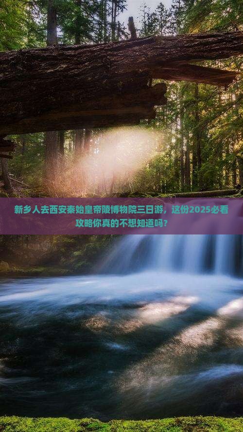 新乡去西安秦始皇帝陵博物院三日游