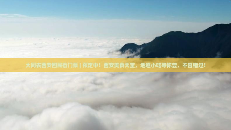 大同去西安回民街门票