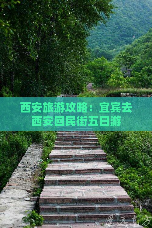 宜宾去西安回民街五日游