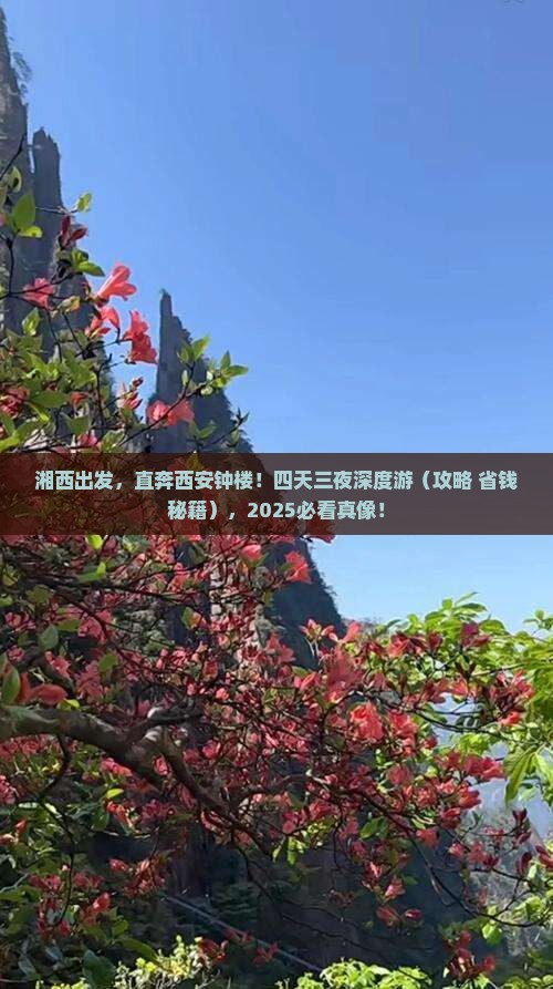 湘西去西安钟楼四日游