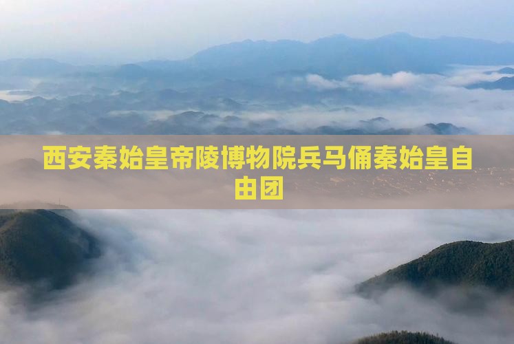 丽水去西安秦始皇帝陵博物院自由团