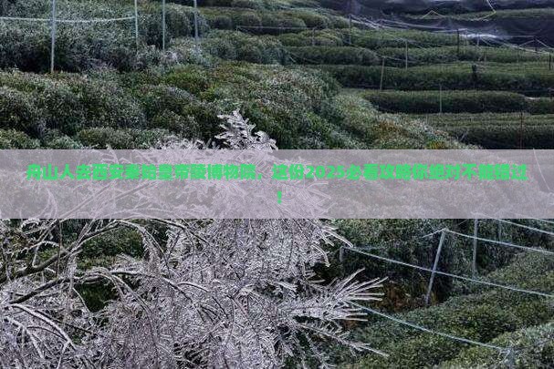 舟山去西安秦始皇帝陵博物院必去地