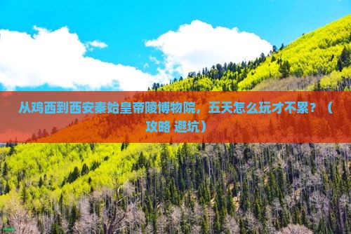 鸡西到西安秦始皇帝陵博物院五日游