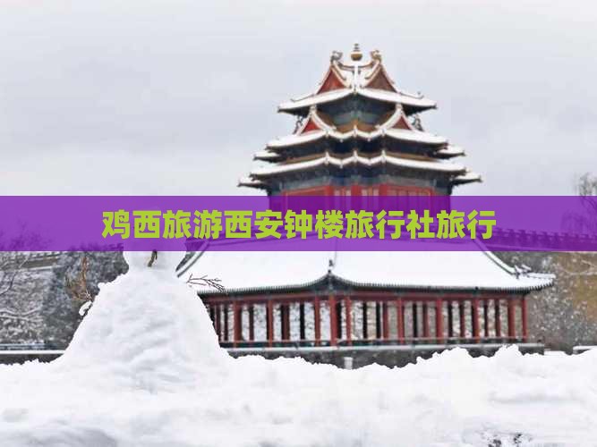 鸡西到西安钟楼旅行社