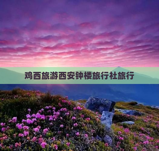 鸡西到西安钟楼旅行社