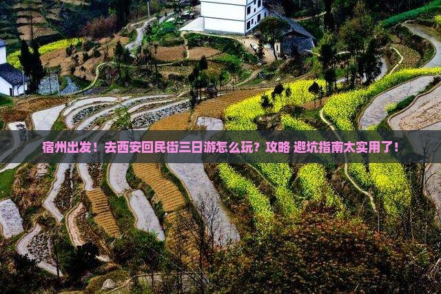 宿州去西安回民街三日游