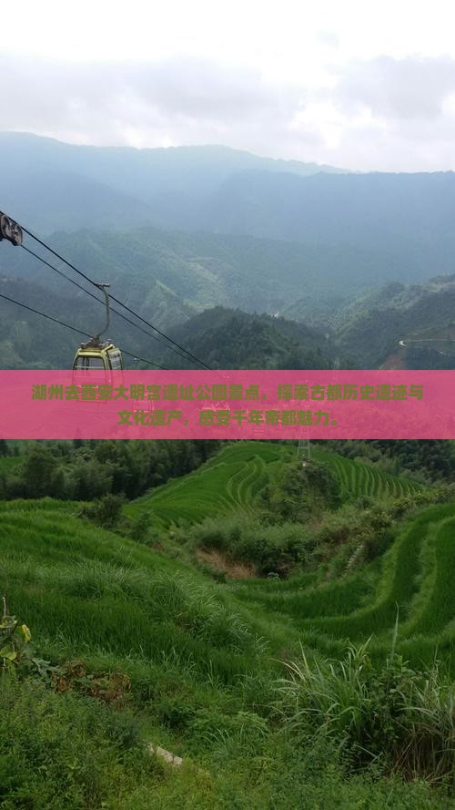 湖州去西安大明宫国家遗址公园景点