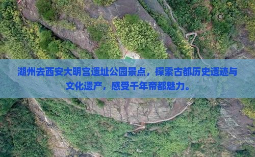 湖州去西安大明宫国家遗址公园景点