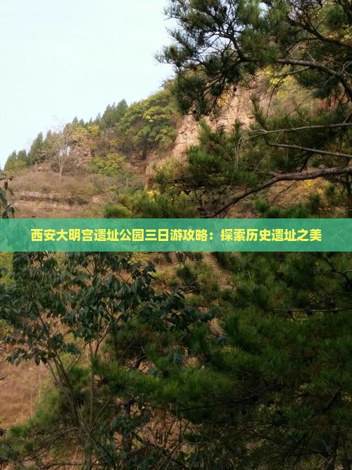 二月去西安大明宫国家遗址公园三日游